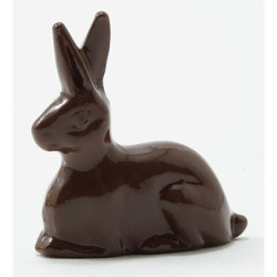 Chocolate Bunny