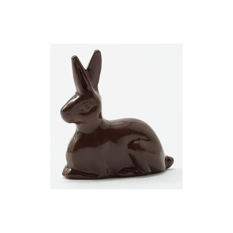 Chocolate Bunny
