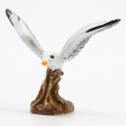 Seagull,Hp