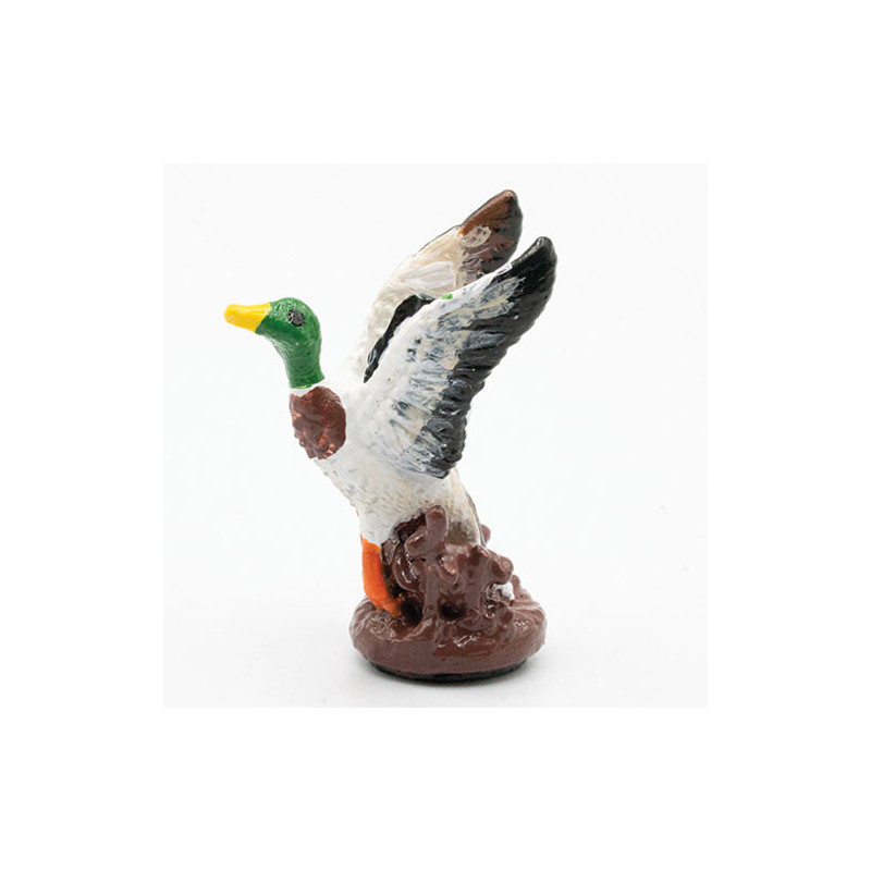Mallard In Flight