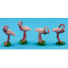 Pink Flamingo**Assorted