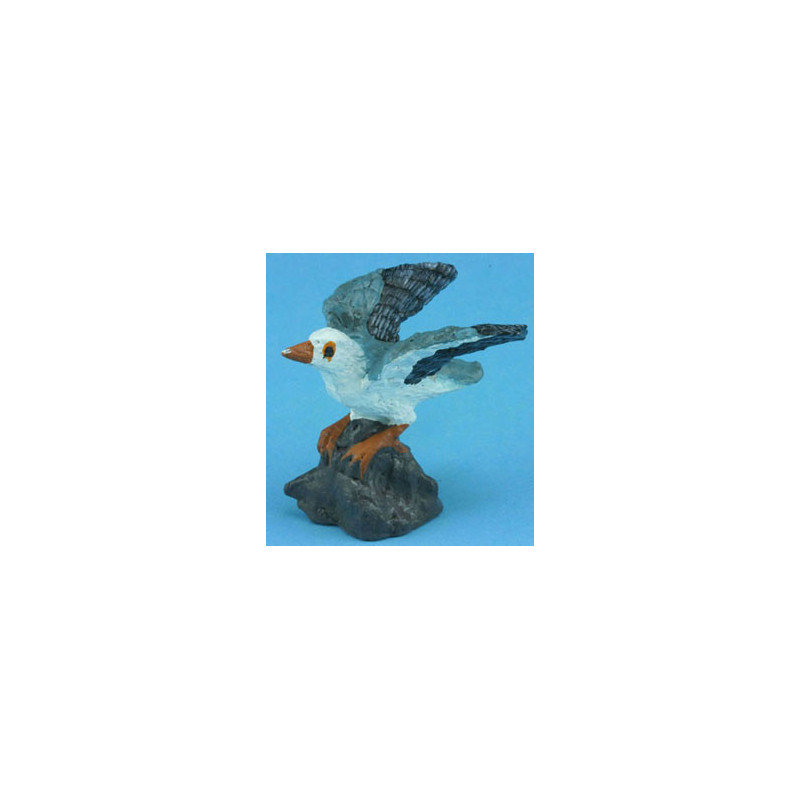 Seagull