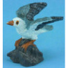 Seagull