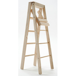 5In Step Ladder