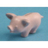 Pink Piggy Bank