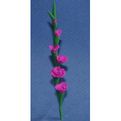 Glads, Medium Purple