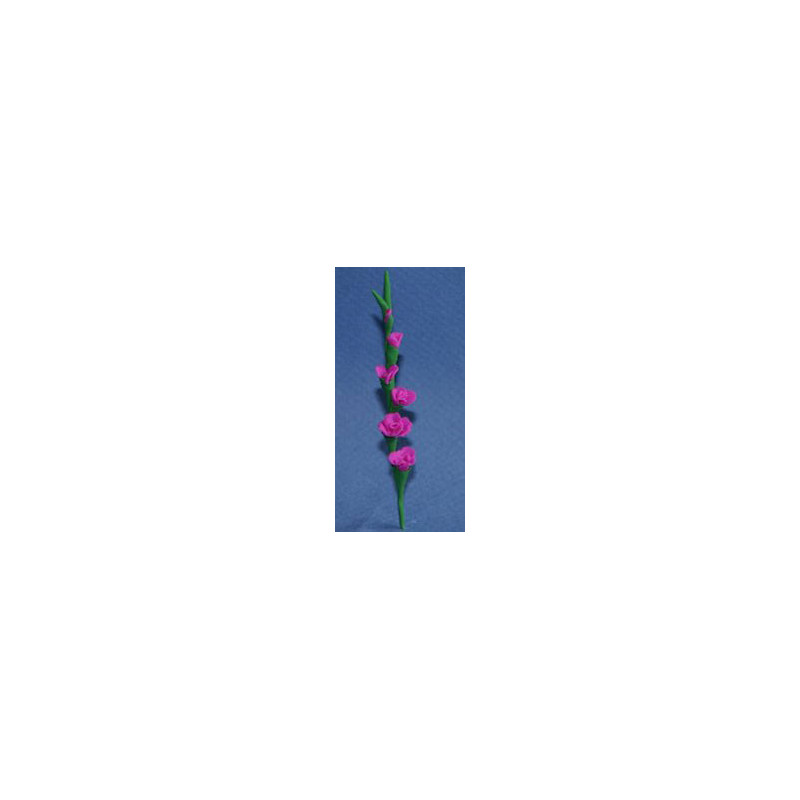 Glads, Medium Purple