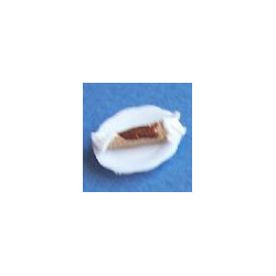 Cannolis, 1/2 Inch Scale