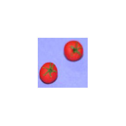 Tomatoes, Set Of 3