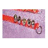 Silver Sleigh Bells