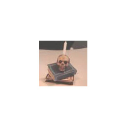 Skull W/Books