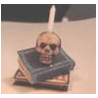 Skull W/Books