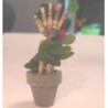 Plant, Helping Hand