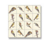 Picture Mosaic, 10Pc