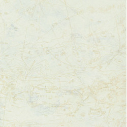 Maps/creme/blue/3