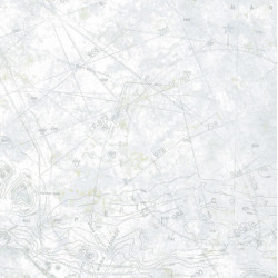 Maps/gray/blue/3