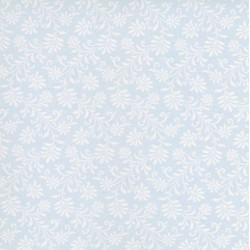 Blue Ferns/3