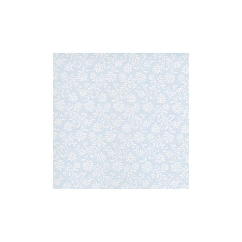Blue Ferns/3