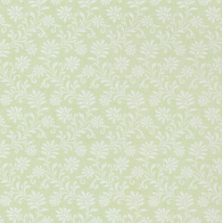 Moss Green Ferns/3