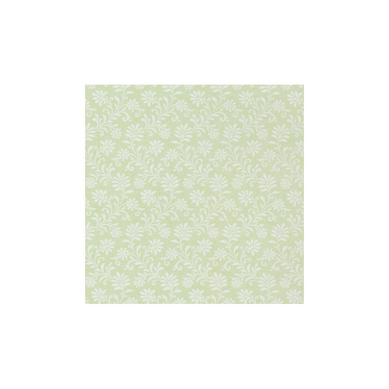 Moss Green Ferns/3