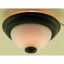 Black and White Ceiling Light