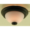 Black and White Ceiling Light