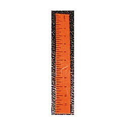 Ruler-Orange, Set of 6