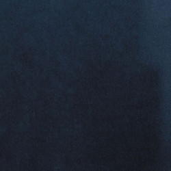 Carpet: Blueberry, 12 X 14