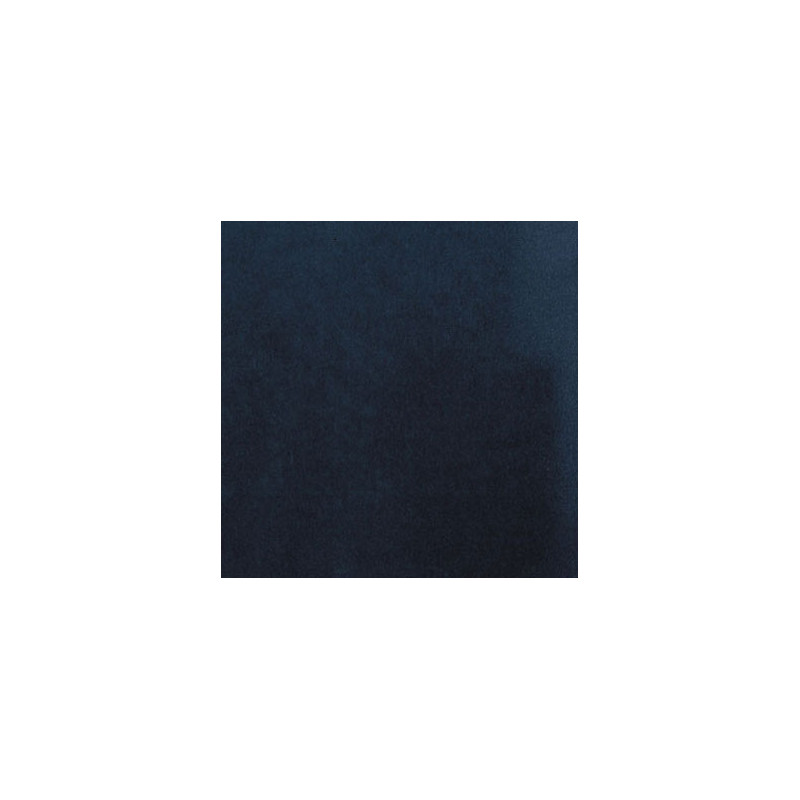 Carpet: Blueberry, 12 X 14