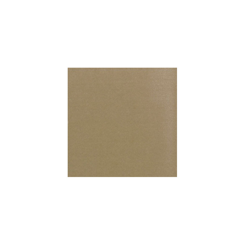 Carpet: Latte, 12 X 14