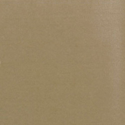 Carpet: Latte, 14 X 20