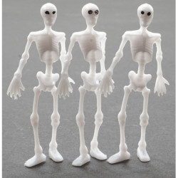 2In Skeletons 3Pcs
