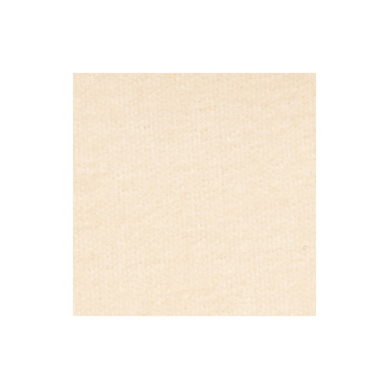 Carpet: Taupe, 12 x 14