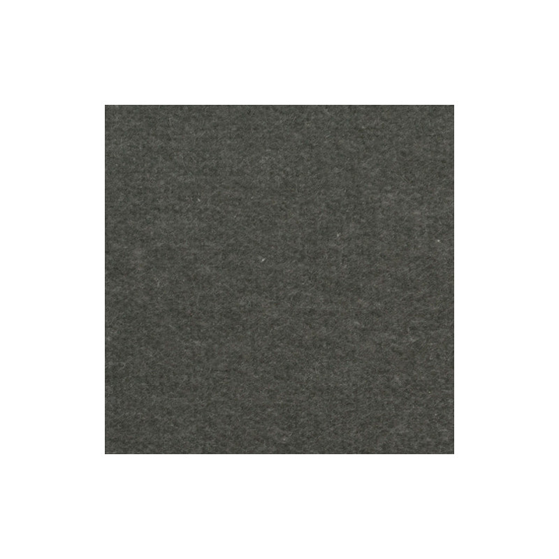Carpet: Grey, 12 x 14