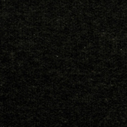 Carpet: Black, 12 x 14