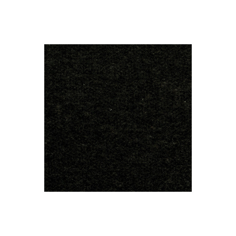 Carpet: Black, 12 x 14