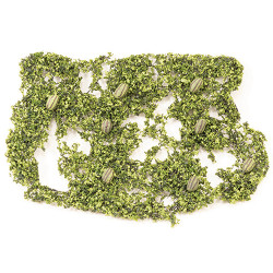 Watermelon Patch