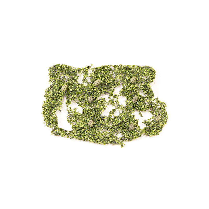 Watermelon Patch