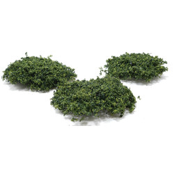 Wild Bushes - Medium Green, 20 Pieces