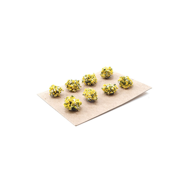 Yellow 1/2" Border Plants (8)