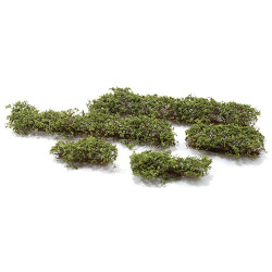 Ditch Weed - Light Green, 5 Pieces