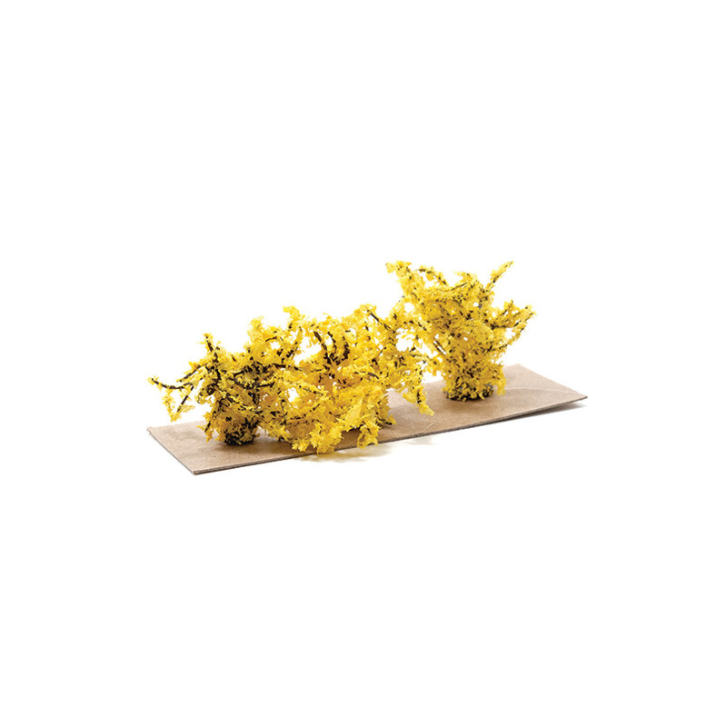 1" Yellow Forsythia Bush (3)