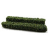 Small Green Hedges, 2 Pieces