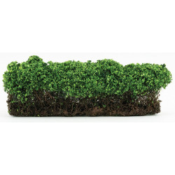Large Green Hedges, 1pc 3" x 7-3/4"