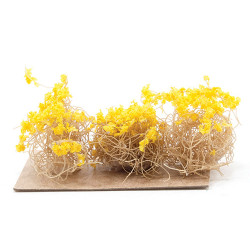 Yellow Brittle Bushes, 3pc