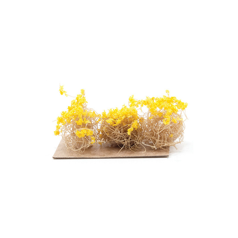 Yellow Brittle Bushes, 3pc