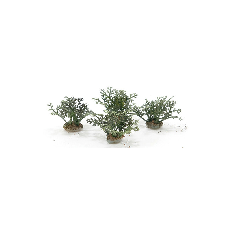 Fern Plants, 4 Pieces
