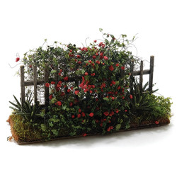 Climbing Rose Garden Fence