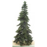 Appalachian Green Spruce, 8 Inches
