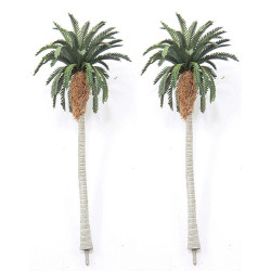 4-1/2" Date Palm (2)